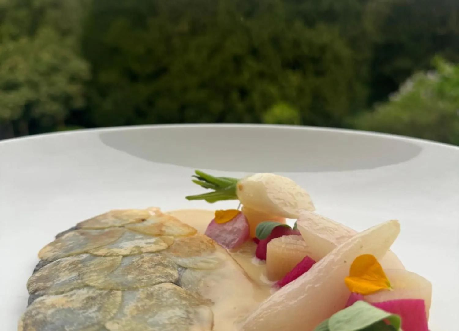 Hotel Bel Air Trail & Wellness Echternach