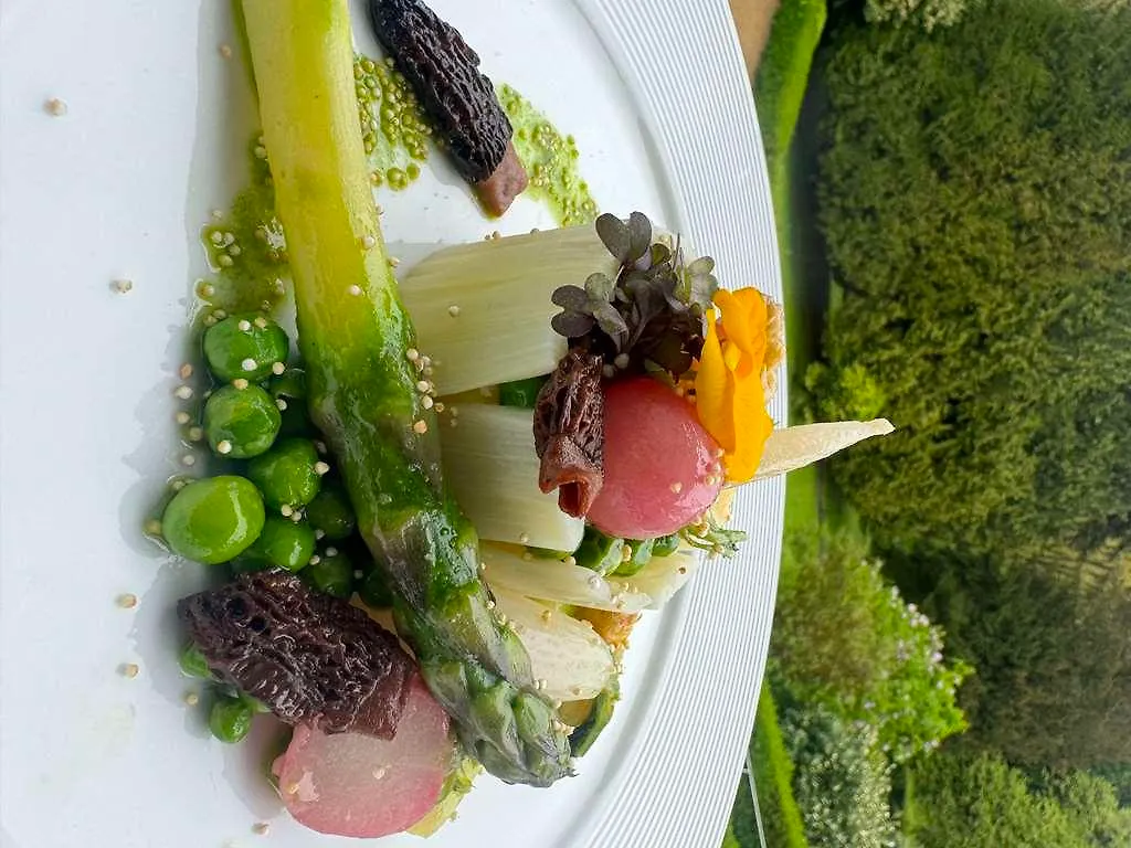 Hotel Bel Air Trail & Wellness Echternach