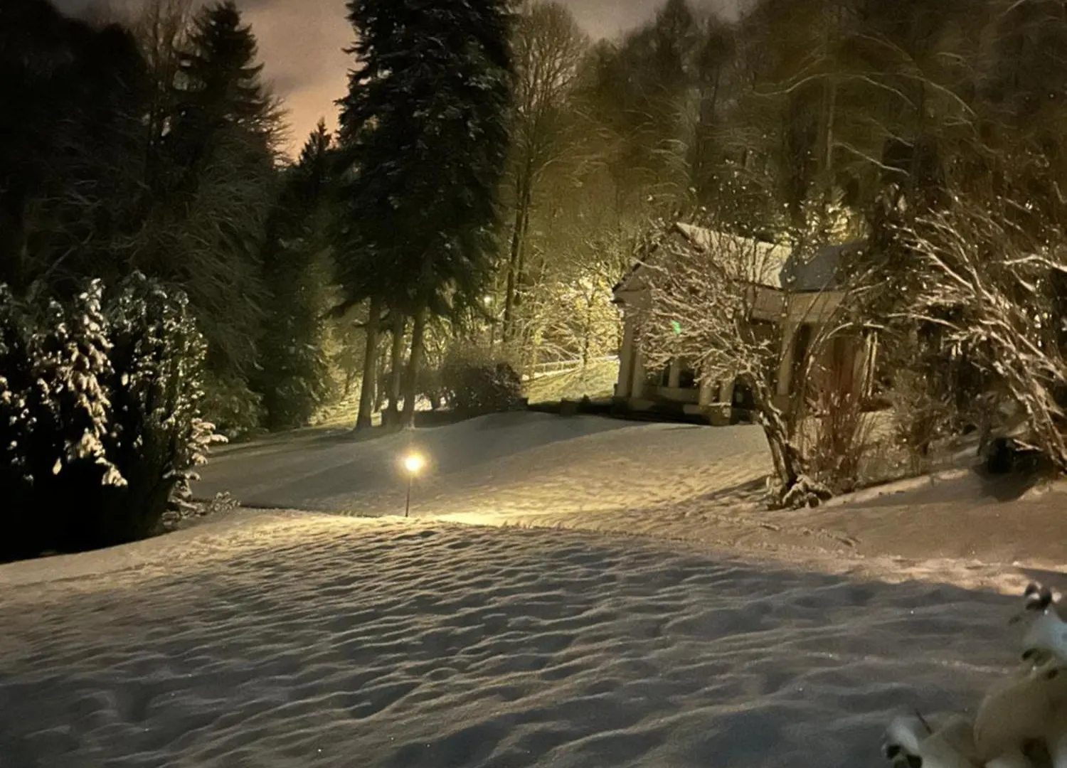 Hotel Bel Air Trail & Wellness Echternach